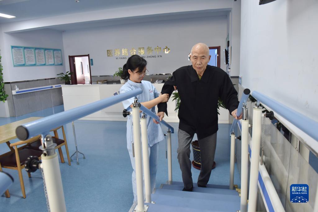 摇钱树网站687788